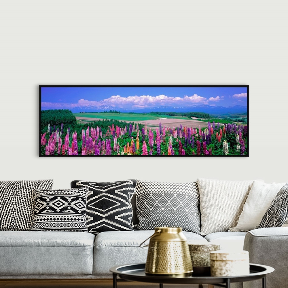 A bohemian room featuring Panoramic photograph of flower meadow with flatlands in the distance on a cloudy day.
