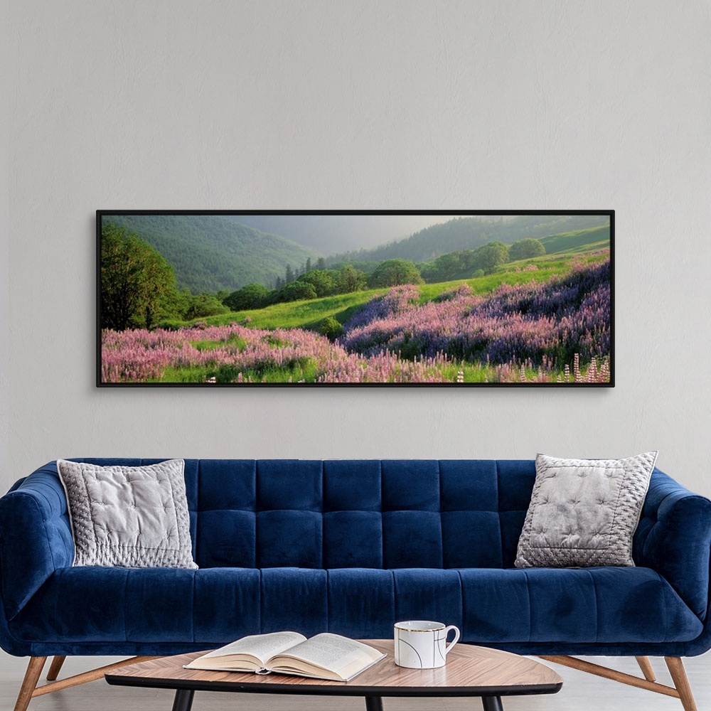 A modern room featuring Panoramic print of wildflowers on a hill in a park with rolling mountains in the distance.