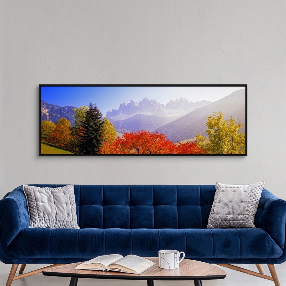 A modern room featuring Panoramic photograph of autumn tree line with mountains in distance.