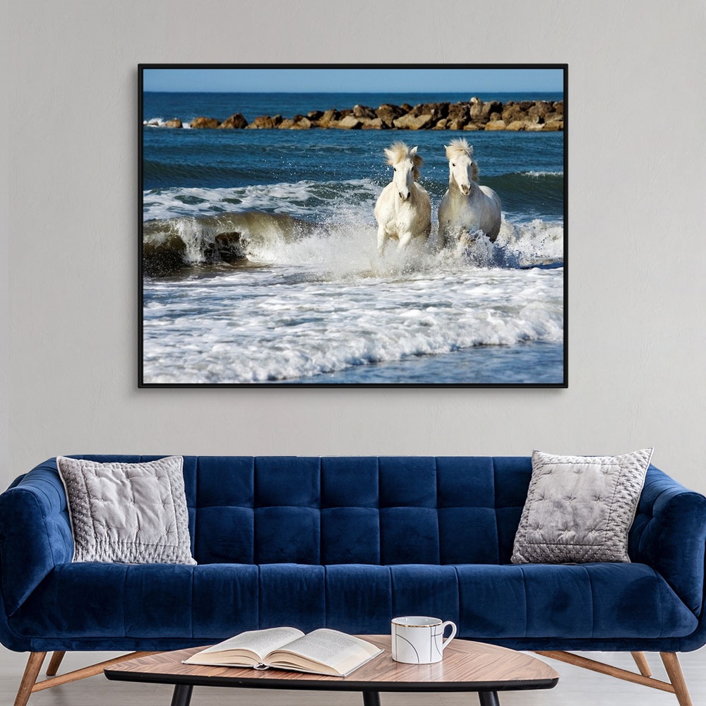 A modern room featuring Large photograph showcases a couple solid-hoofed mammals with flowing manes galloping through the...