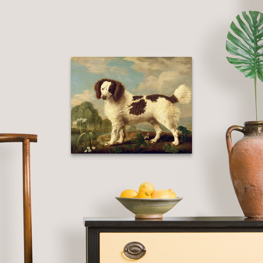 Brown and White Norfolk or Water Spaniel, 1778 Wall Art, Canvas Prints ...