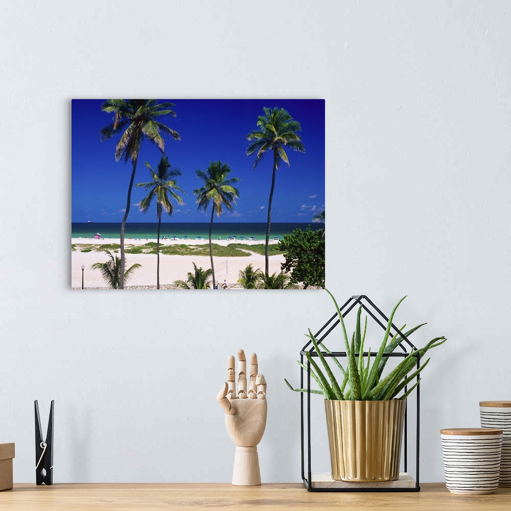 Florida, Miami Beach, the beach Wall Art, Canvas Prints, Framed Prints ...