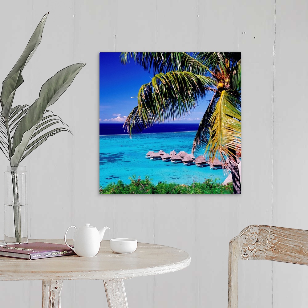 French Polynesia, Moorea, Tahiti, Teavaro beach Wall Art, Canvas Prints ...