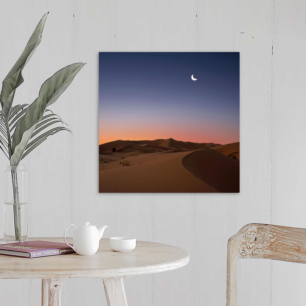 Crescent moon over dunes in Sahara Desert at dawn, Morocco. Wall Art ...
