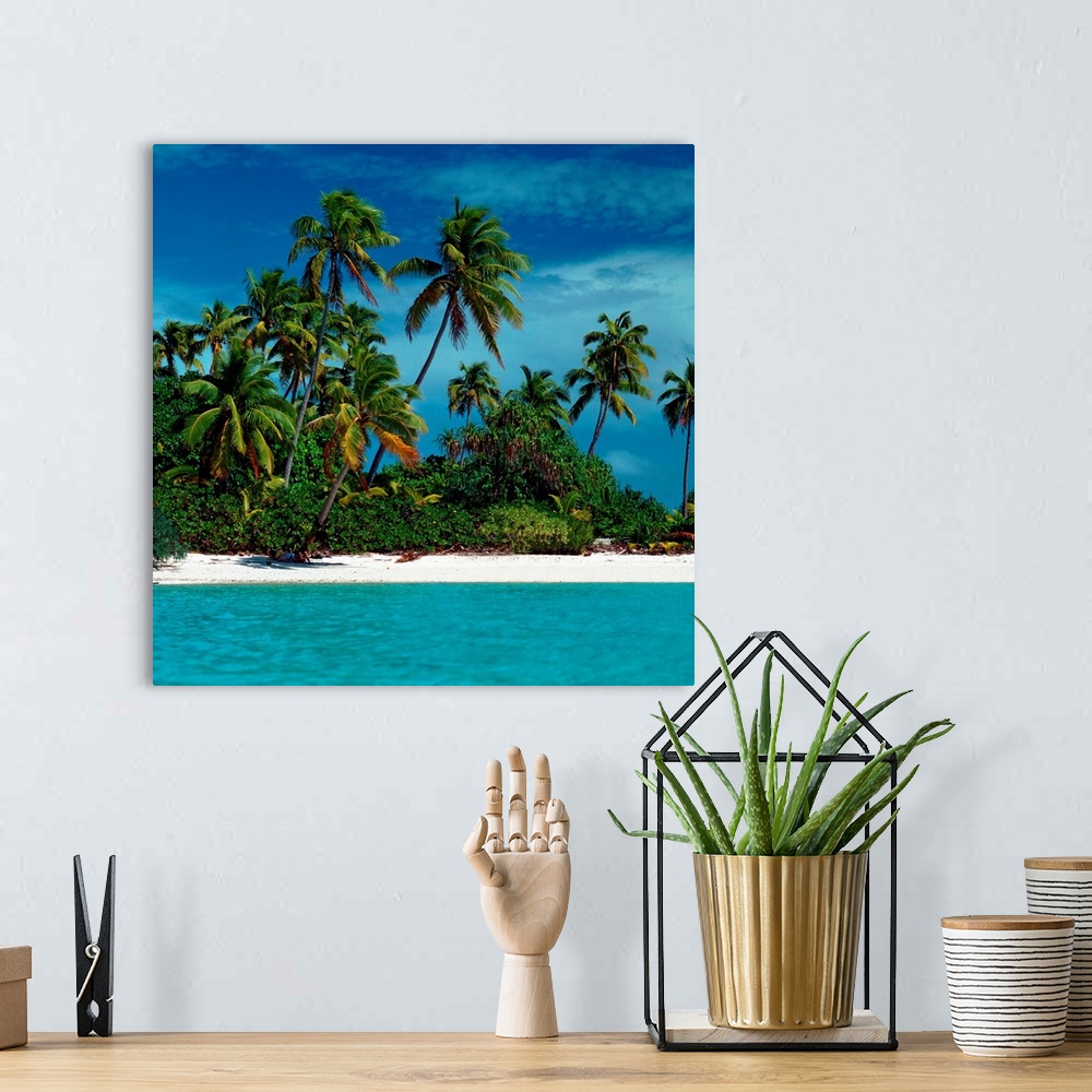 Palm trees on tropical beach Wall Art, Canvas Prints, Framed Prints ...