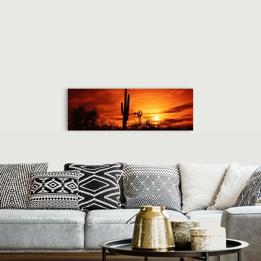 Arizona, Sonoran Desert, sunset Wall Art, Canvas Prints, Framed Prints ...