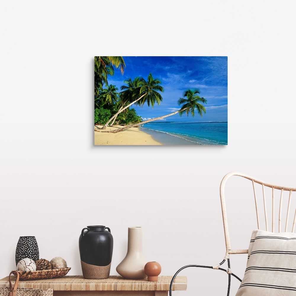 Palm trees bending over the beach Wall Art, Canvas Prints, Framed ...