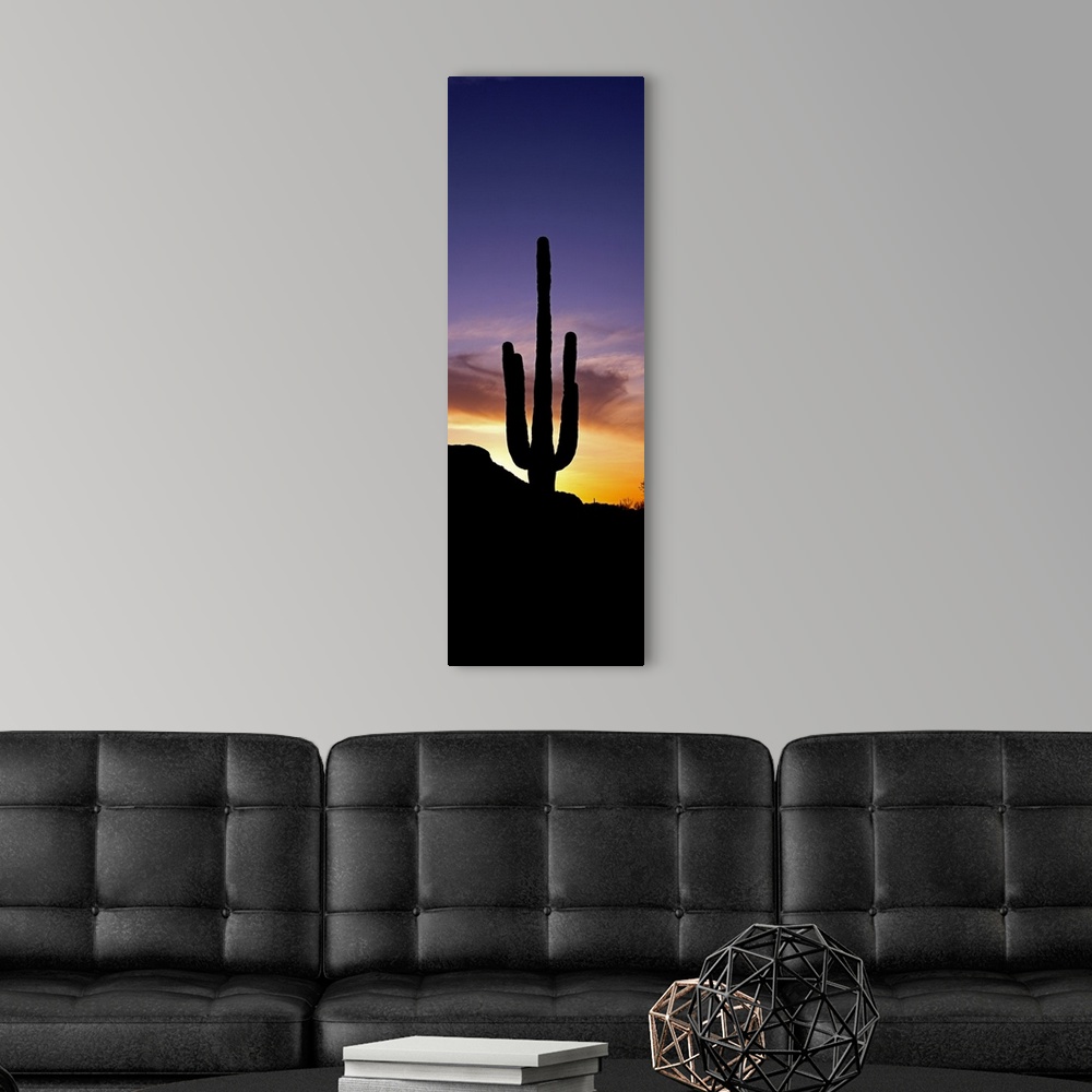 Saguaro Cactus and Sunset Saguaro National Park Arizona Wall Art ...