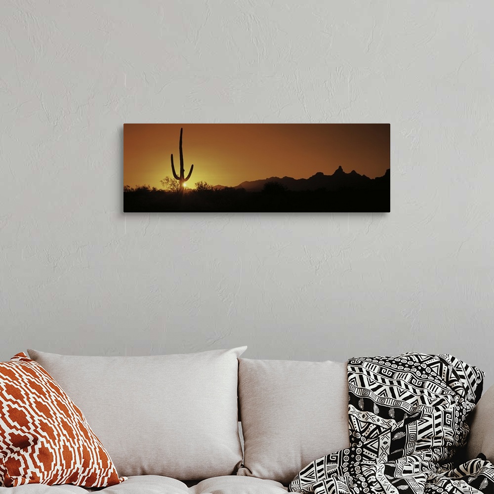 Saguaro Cactus AZ Wall Art, Canvas Prints, Framed Prints, Wall Peels ...
