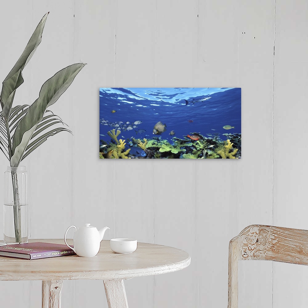 School of fish swimming in the sea, Digital Composite Wall Art, Canvas ...