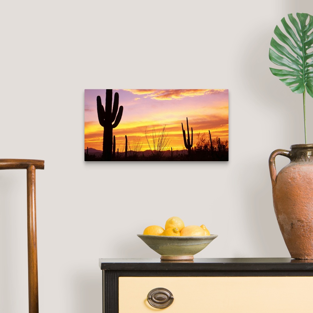 Sunset Saguaro Cactus Saguaro National Park AZ Wall Art, Canvas Prints ...