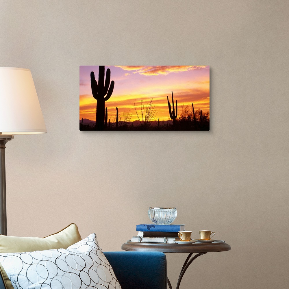 Sunset Saguaro Cactus Saguaro National Park AZ Wall Art, Canvas Prints ...